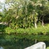 Balnearios y manantiales naturales de Morelos ideales para relajarte